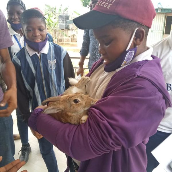 A Beriyth College Student holding a Rabbit during Extracurricular Activities at an Animal Farm Field Trip-Excursion.